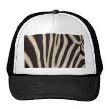 Rayures de Z Casquette De Camionneur