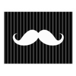 Rayures noires et gris-foncé de moustache blanche  carte postale