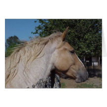 Reba Cartes De Vœux