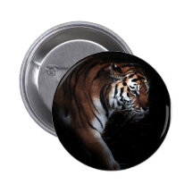 Recherche de tigres badge avec épingle