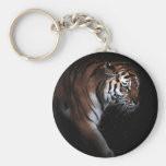 Recherche de tigres porte-clés