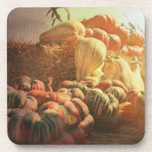 Récolte, courges et courge tardives d'automne sous-bock