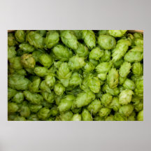 Récolte d'houblon ! affiches