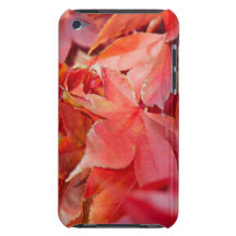 Red Fall Leaves iPod Case-Mate Cases