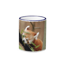 red-panda-026 tasse à café
