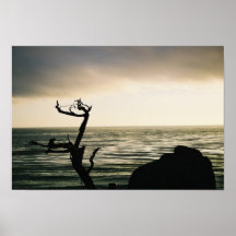 Reddition de crépuscule posters