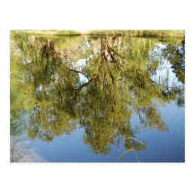 Réflexion dans l'eau carte postale