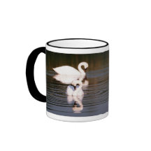 Réflexion de tasse de café de cygne