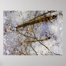 Réflexions d'hiver affiches