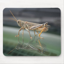 Réflexions Mousepad de Grasshopperly Tapis De Souris