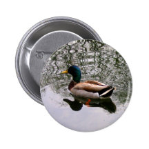 Réflexions Pin's Avec Agrafe