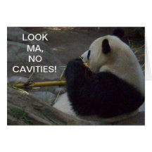 Regard mA d'ours panda aucune carte de cavités