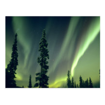 Région des Etats-Unis, Fairbanks, Alaska central,  Carte Postale