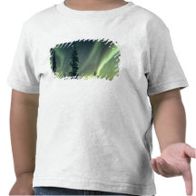 Région des Etats-Unis, Fairbanks, Alaska central,  T-shirts