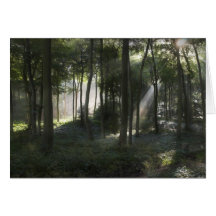 Régions boisées de matin cartes