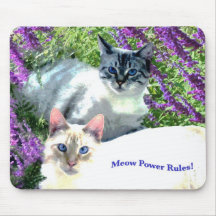 Règle Mousepad de Meows Tapis De Souris