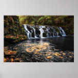 Remous de castor affiche