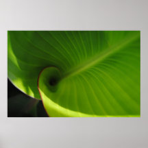 Remous vert de feuille posters