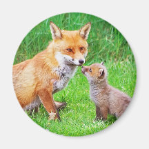 Renard et petit animal de mère magnets pour réfrigérateur