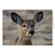 Rencontre étroite carte de vœux