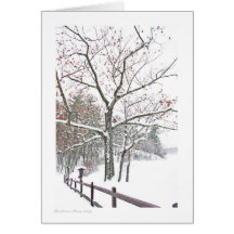 Rendez-vous en nature : Taille de salutation Cartes