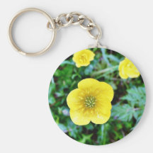 Renoncule Porte-clefs
