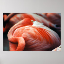 Repos Posters
