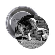 Reposez - - le séjour - - - bouton badges
