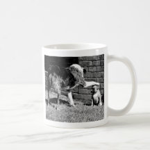 Reposez - - le séjour - - - tasse