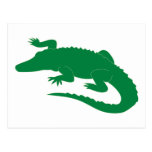 Reptile d'alligator d'alligator de crocodile cartes postales