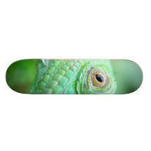 Reptile vert de lézard d'iguane sur la planche à r