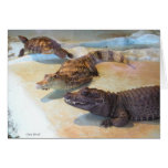 Reptiles Carte