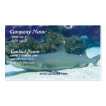 Requins dans le carte de visite de récif coralien