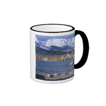 RÉSERVATION NATURELLE DE LAC D'ÉTAT MONO DE TUF, TASSE À CAFÉ