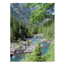 Réserve forestière stupéfiante cartes postales