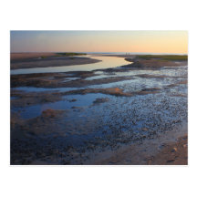 Réserve naturelle Cape Cod de baie de Wellfleet de Cartes Postales
