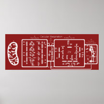 Respiration cellulaire 42x16 posters