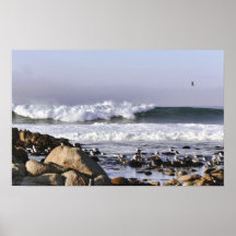 Ressacs en affiche de baie de Monterey