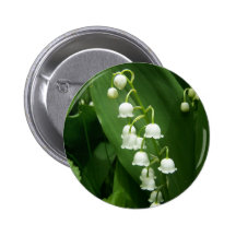 Ressort au Maine Badge Avec Épingle