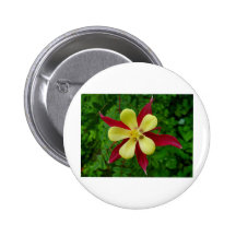 Ressort Badges