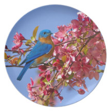 Ressort d'oiseau bleu assiette