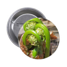 Ressort du Maine Badges Avec Agrafe