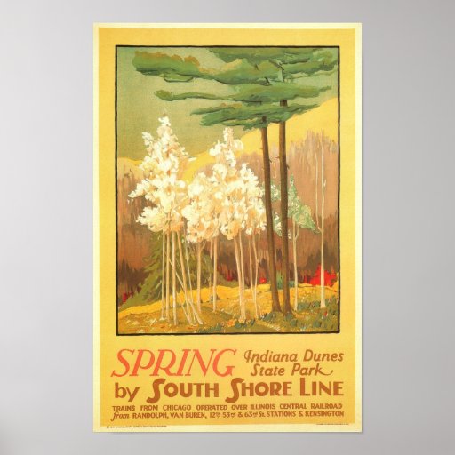 Ressort en parc d'état de dunes de l'Indiana Affiches