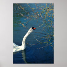 Ressort entrant - affiche