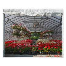 Ressort Photos Sur Toile