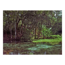 Ressorts d'arc-en-ciel, la Floride Photographies D’art