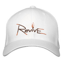 Rétablissez le chapeau casquette brodée