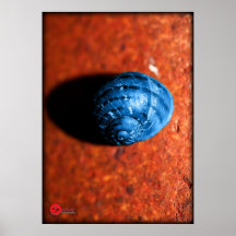 ~RETRO SNAIL~ POSTER