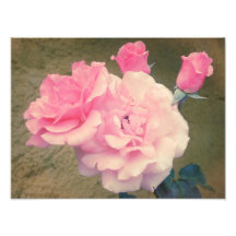 Rétros roses 2 art photographique