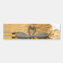 Réunion de couples de cygne à la photographie de c adhésif pour voiture